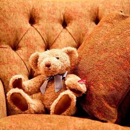 Ardmore ويستبورت